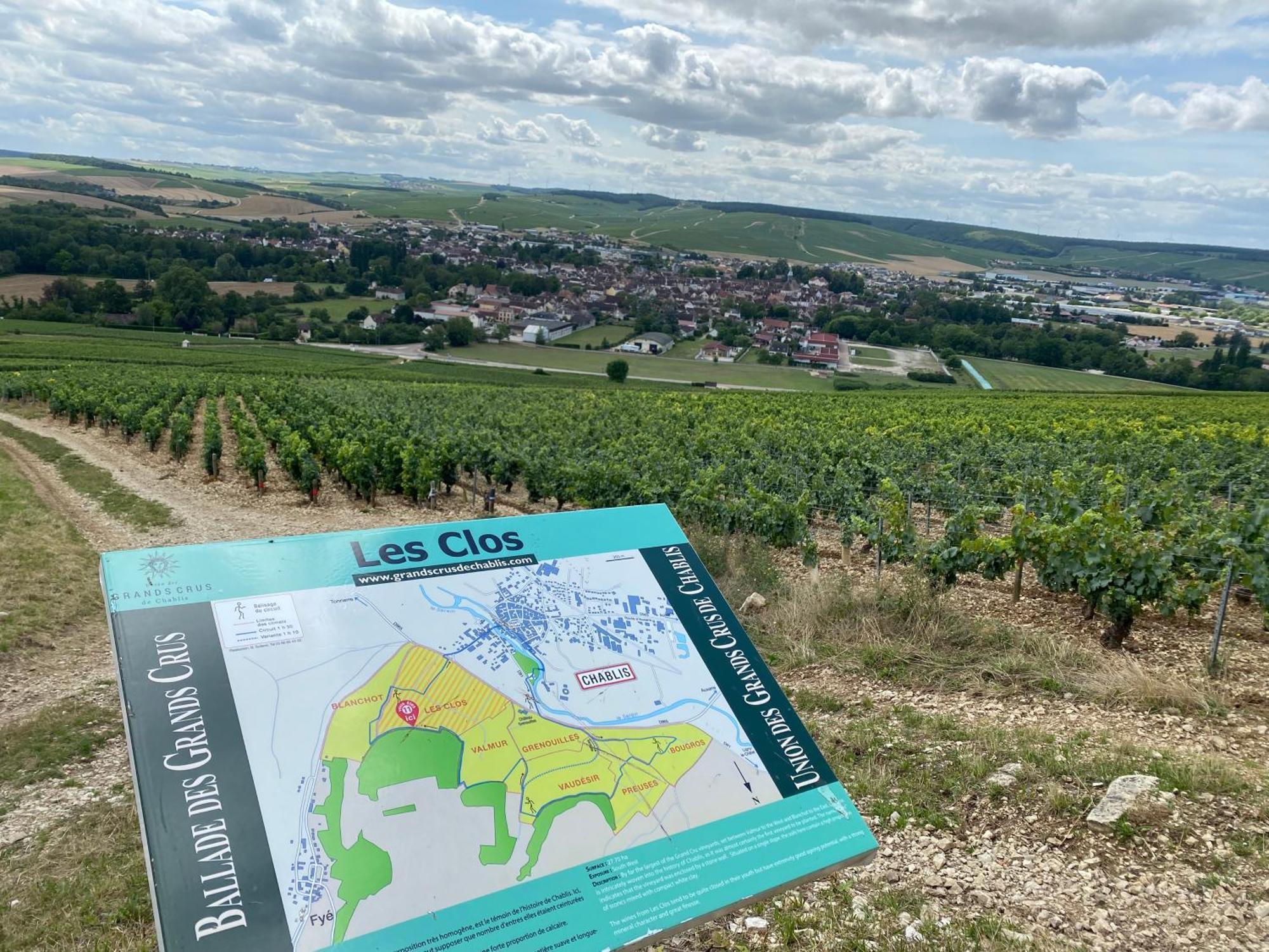 Le Merrain Gite Plein Coeur De Chablis Kültér fotó